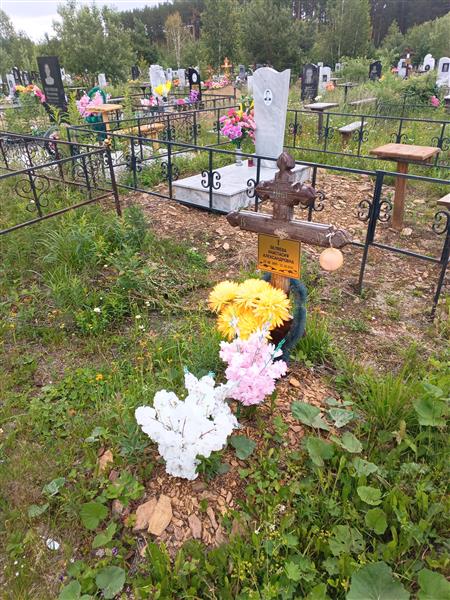 Беляева Анастасия Александровна
