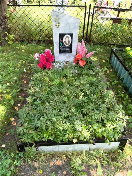 Аношкина Людмила Николаевна