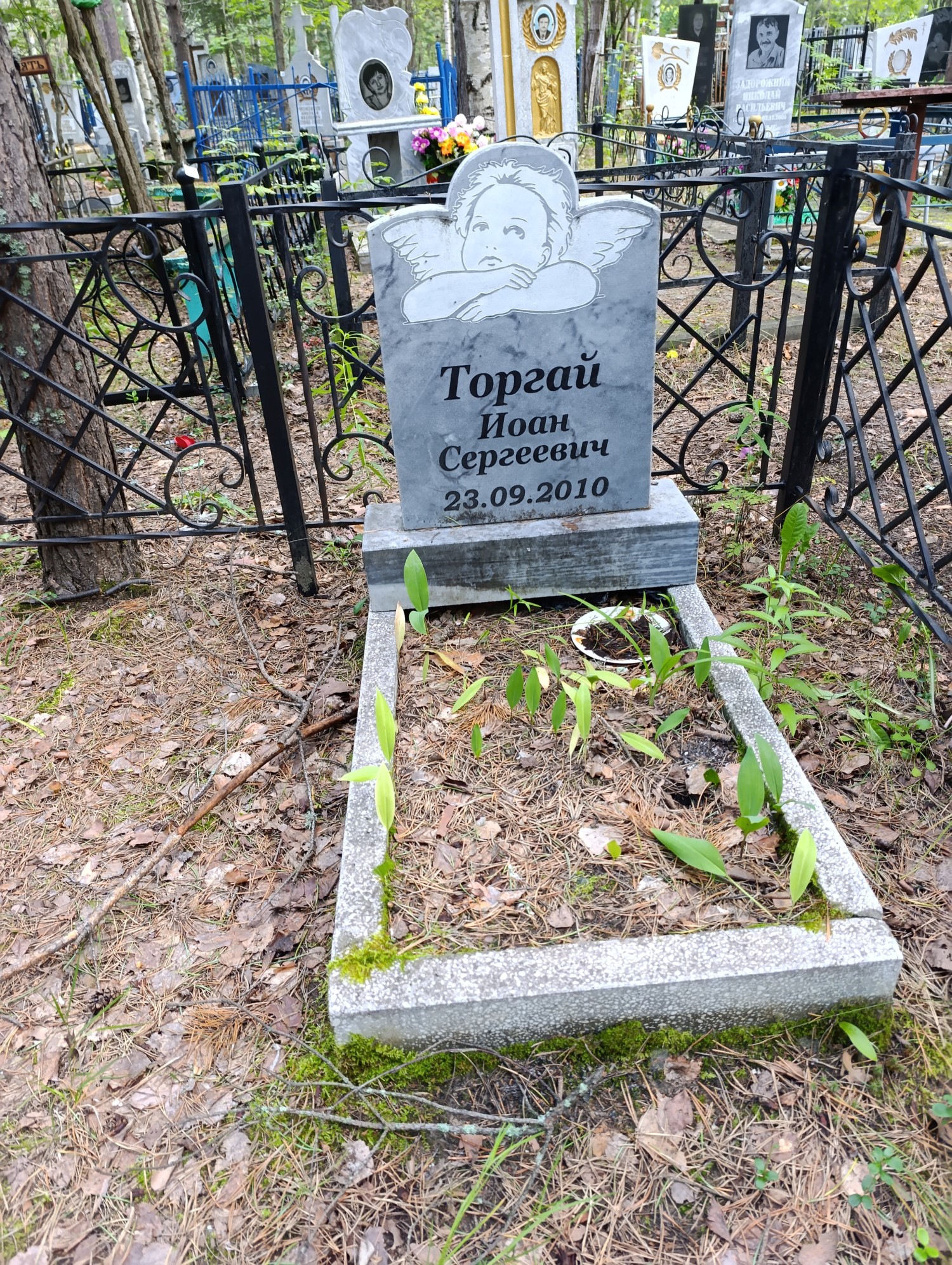 Торгай Иоан Сергеевич