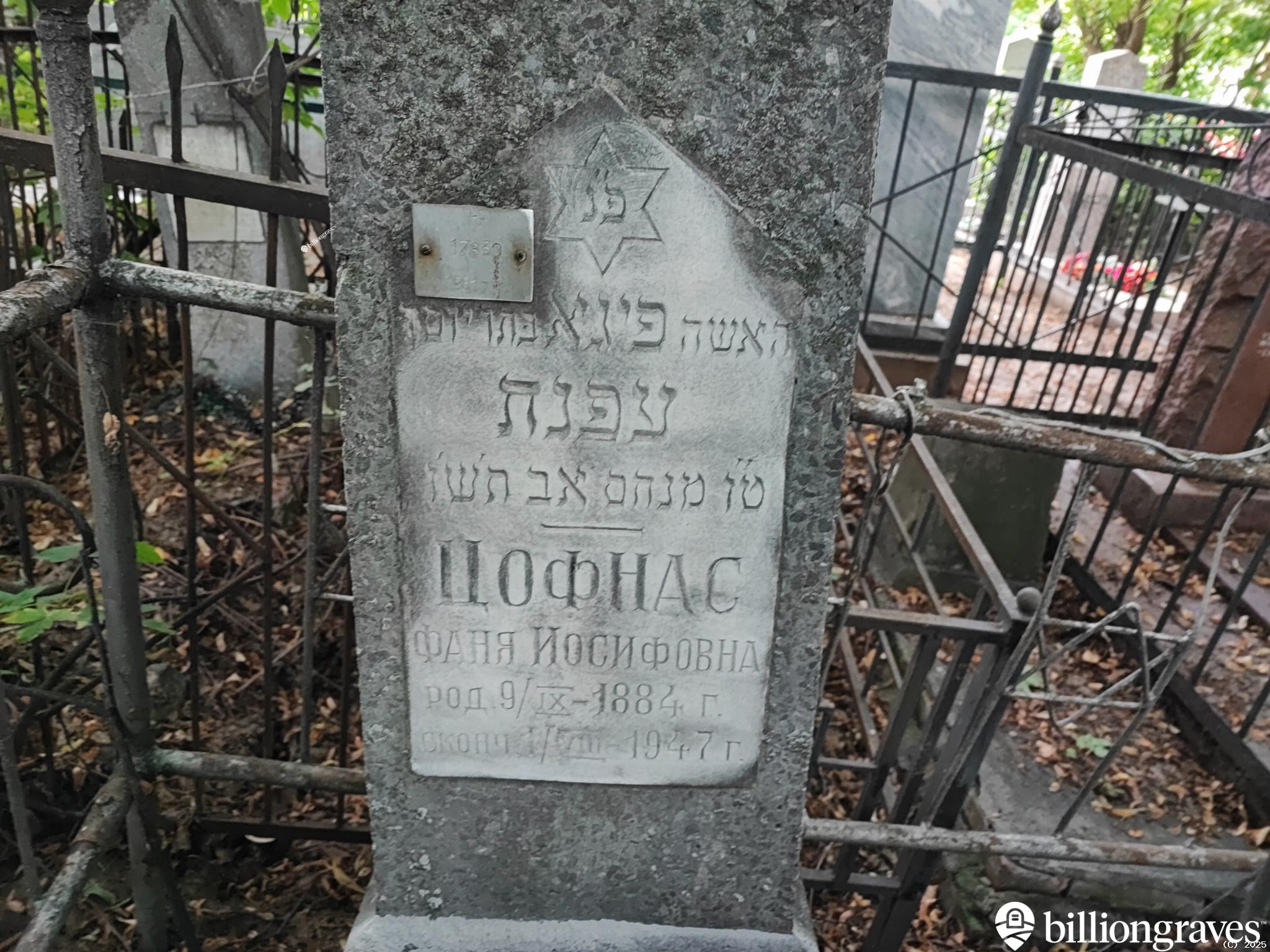 Цофнас Фаня Иосифовна