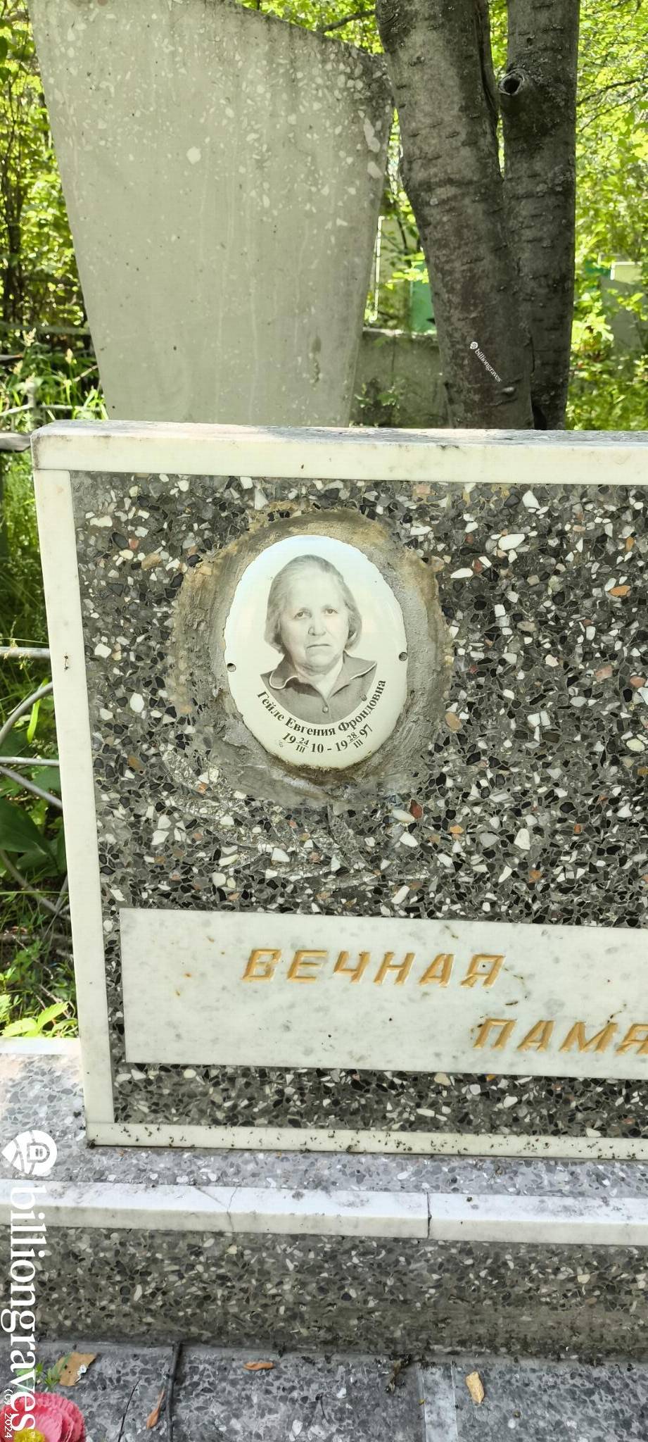 Гейле Евгения Фрондовна
