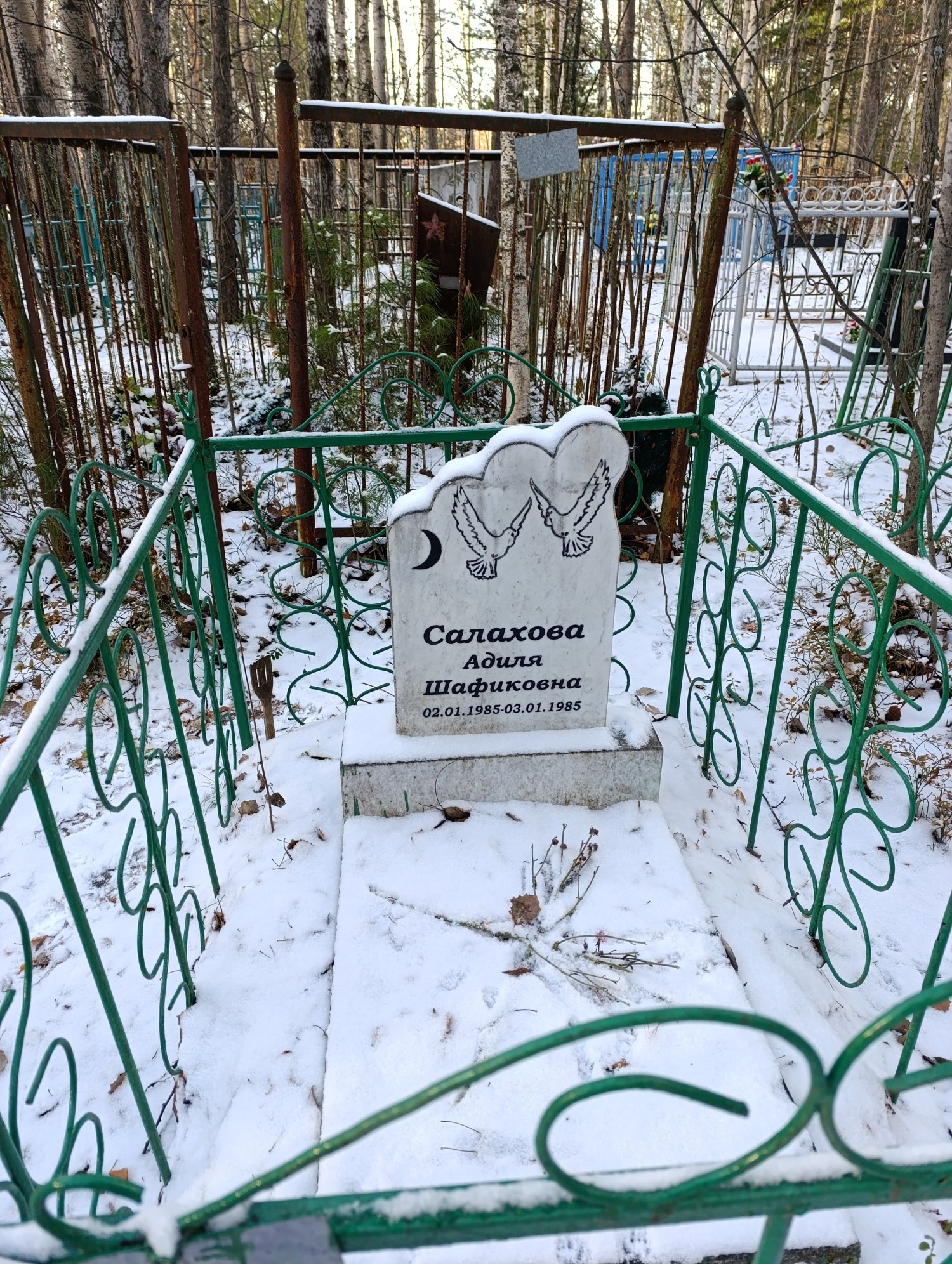 Салахова Адиля Шафиковна