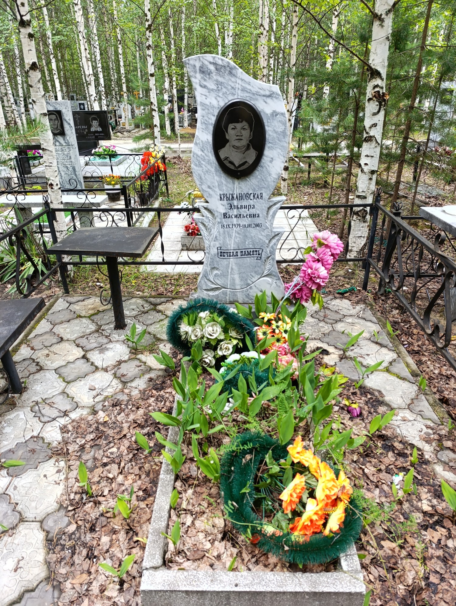 Крыжановская Эльвира Васильевна