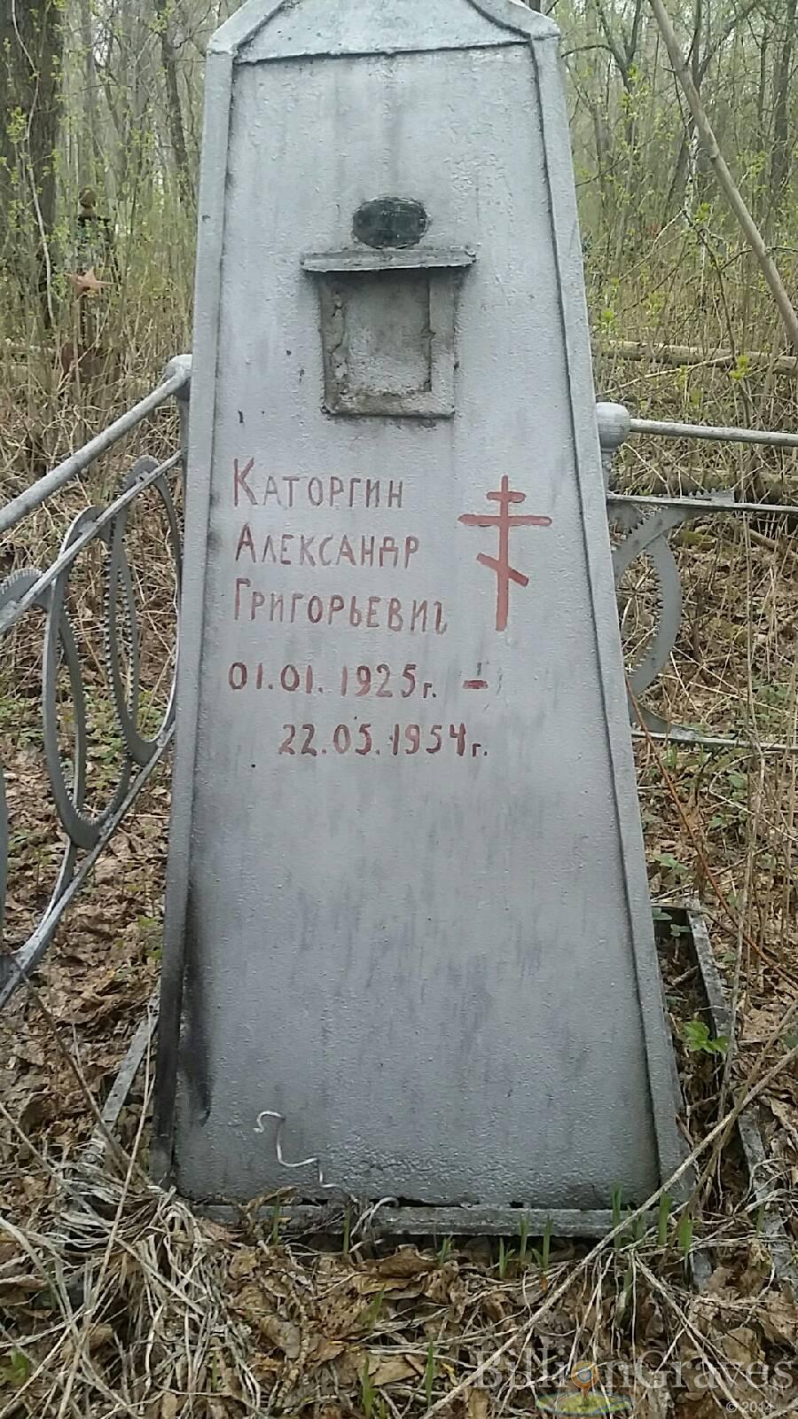 Каторгин Александр Григорьевич