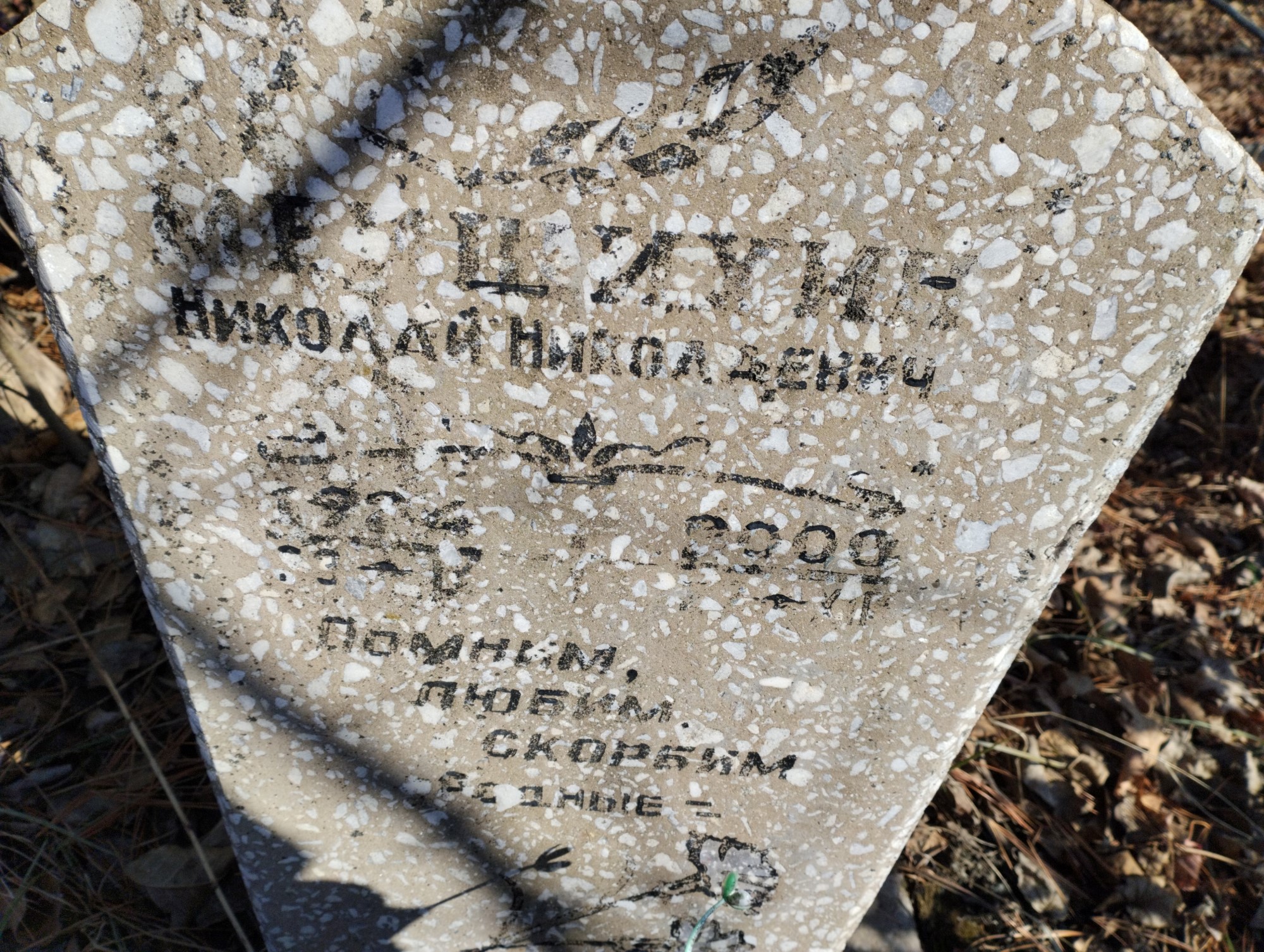 Мрушихин Николай Николаевич
