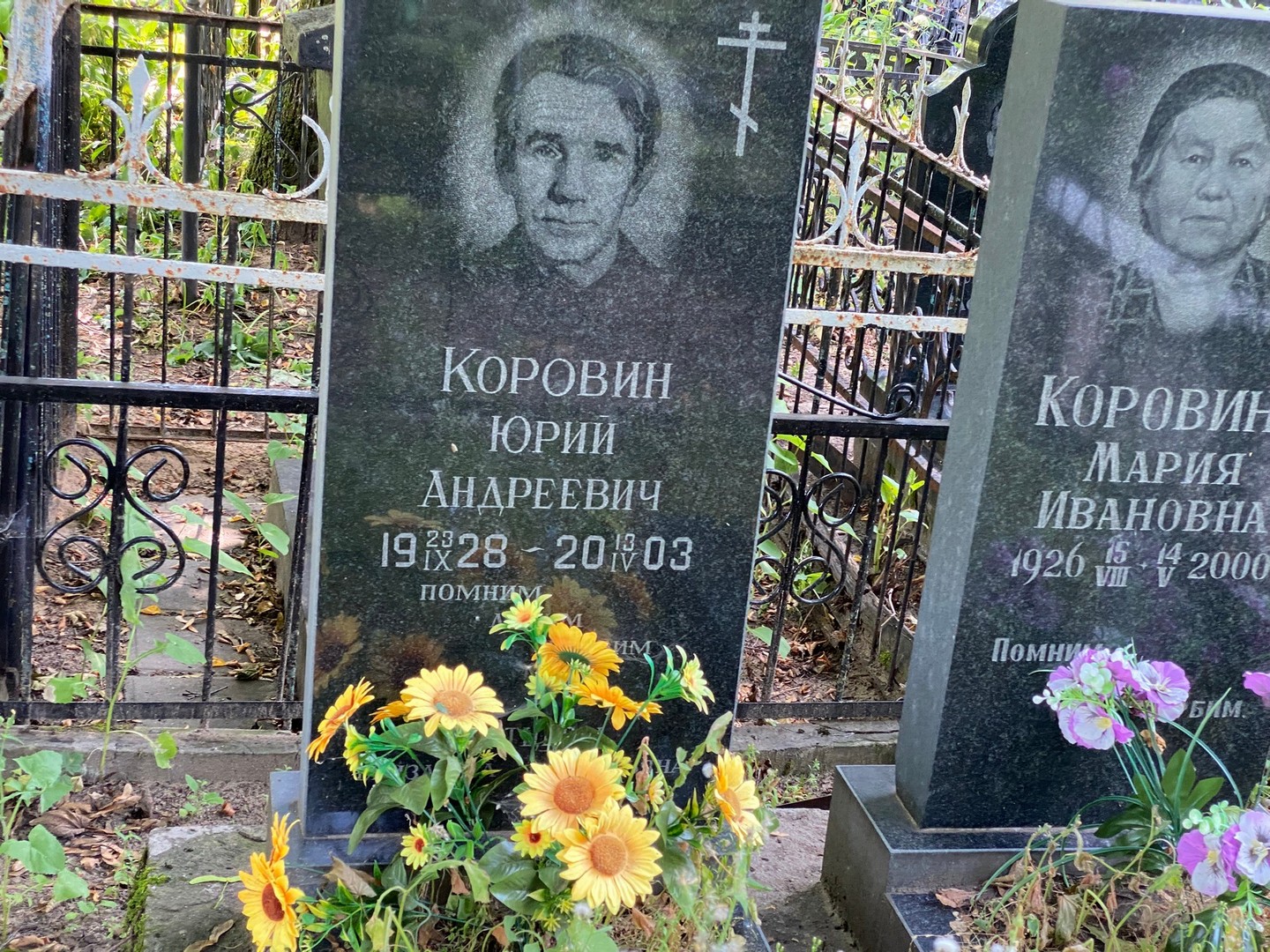 Коровин