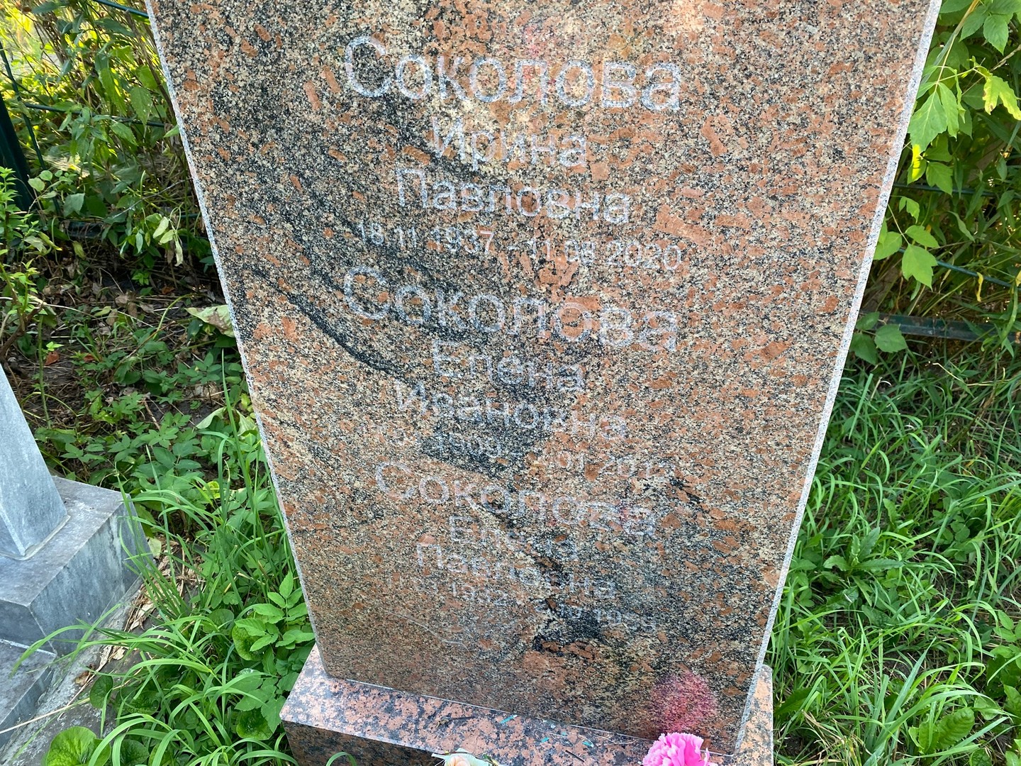 Соколова