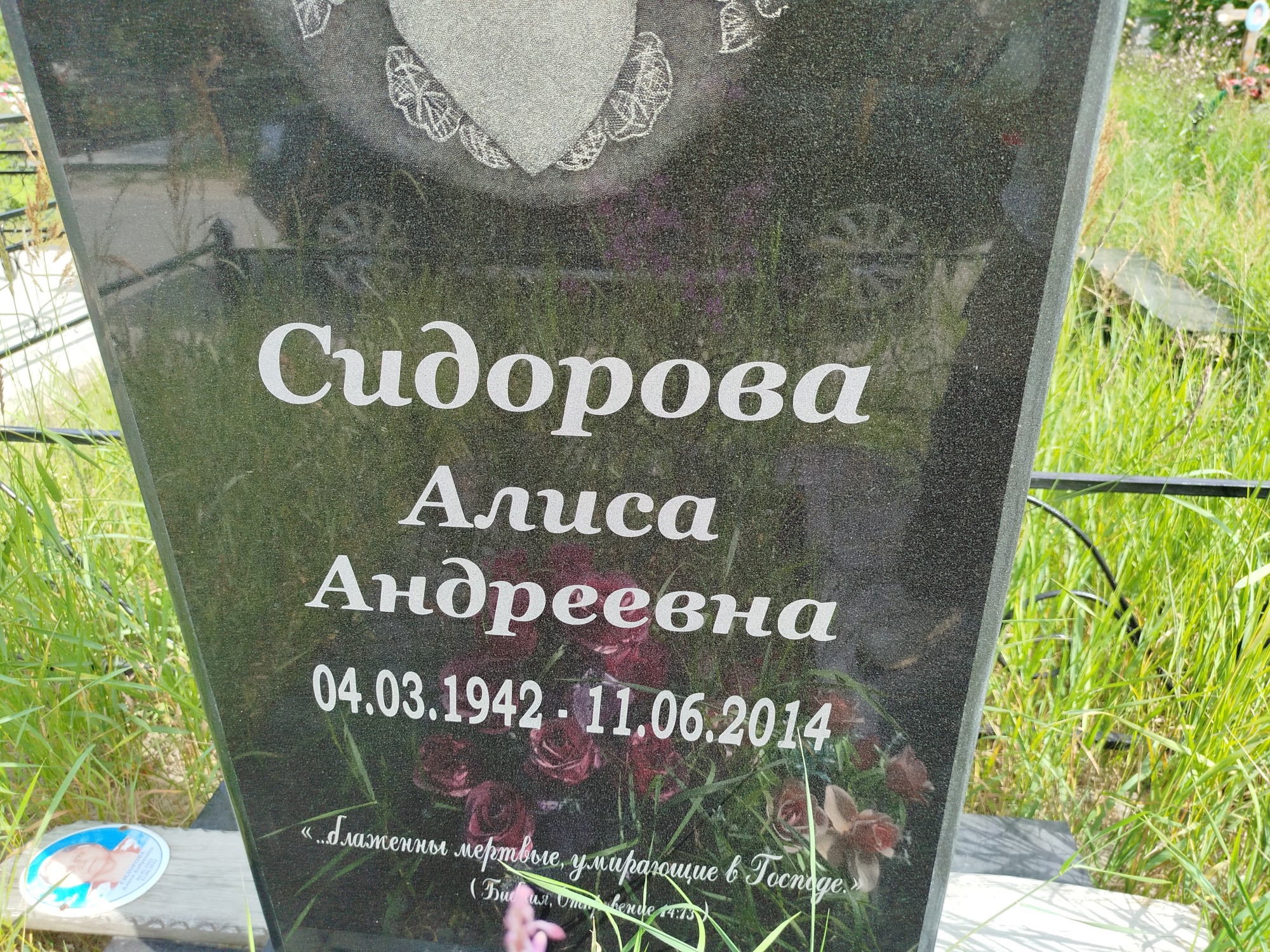Сидорова Алиса Андреевна