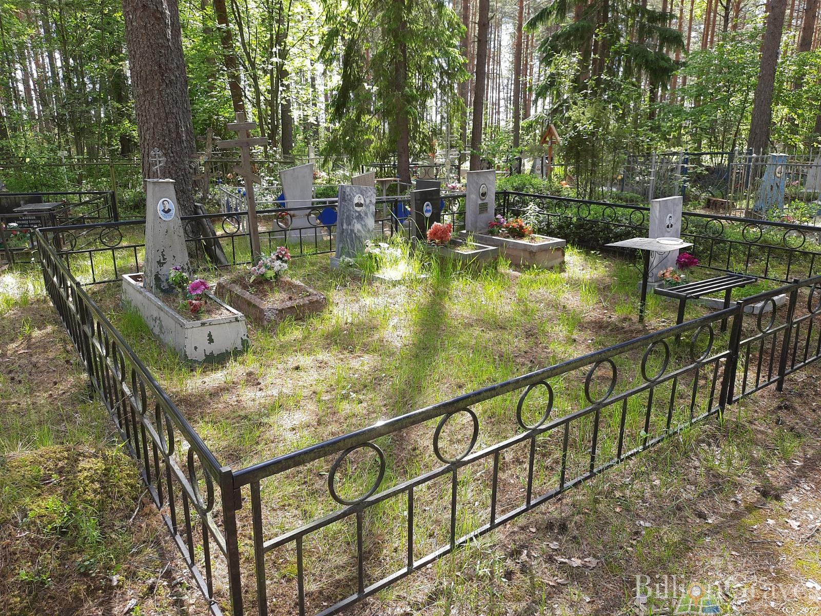 Лукичева Дина Борисовна