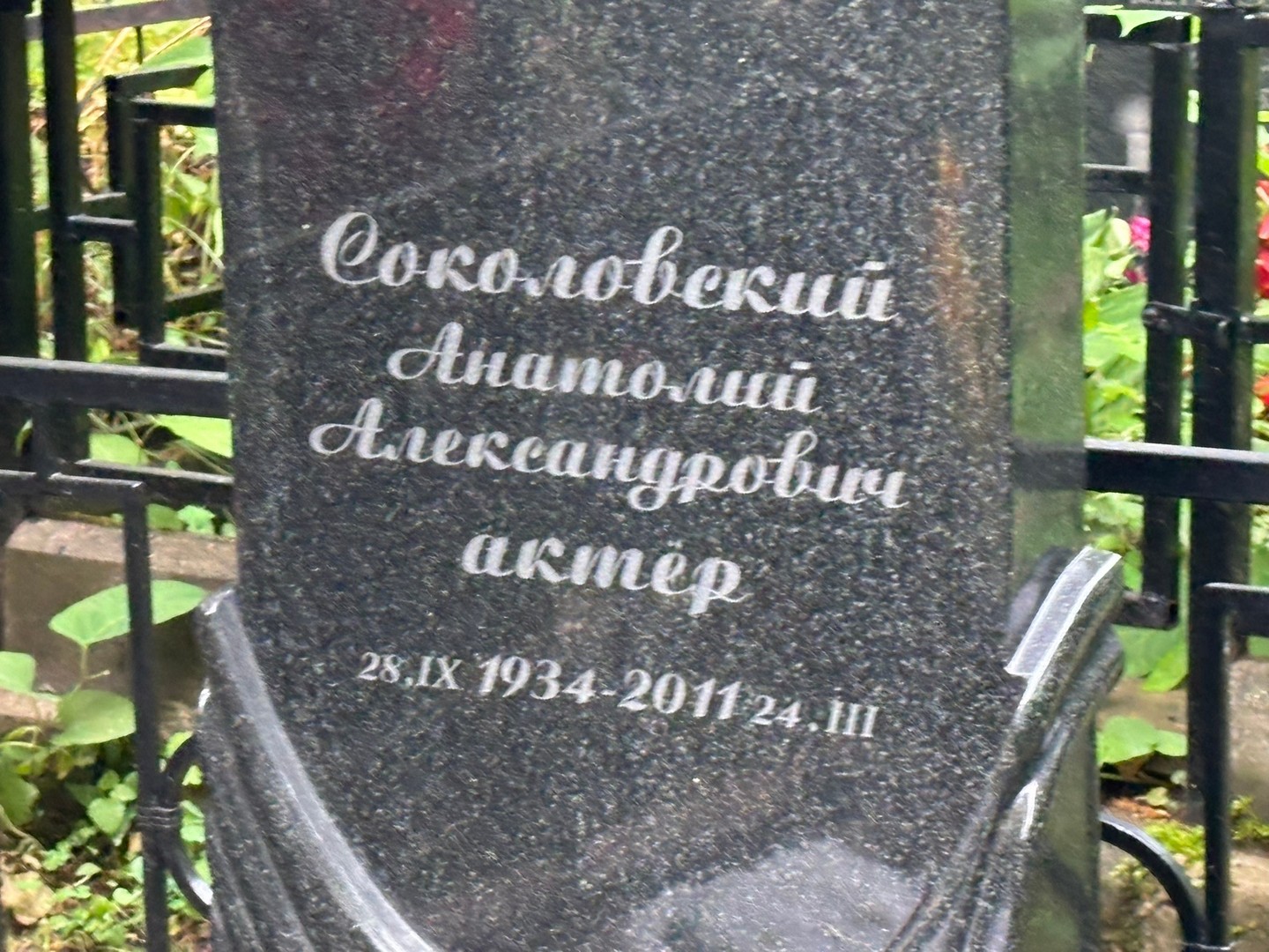 Соколовский