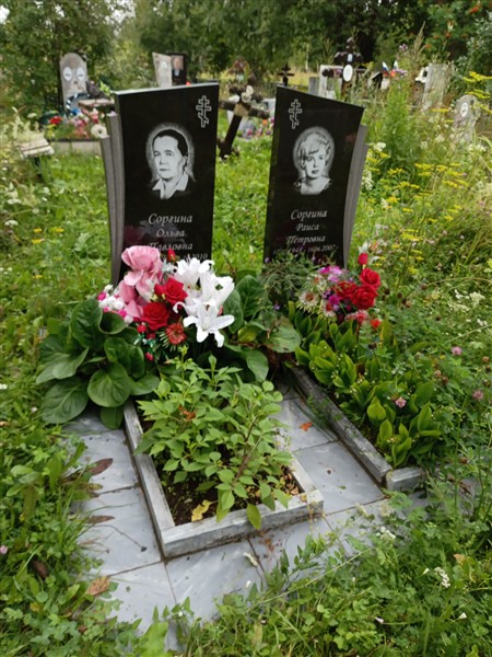 Соргина Ольга Павловна