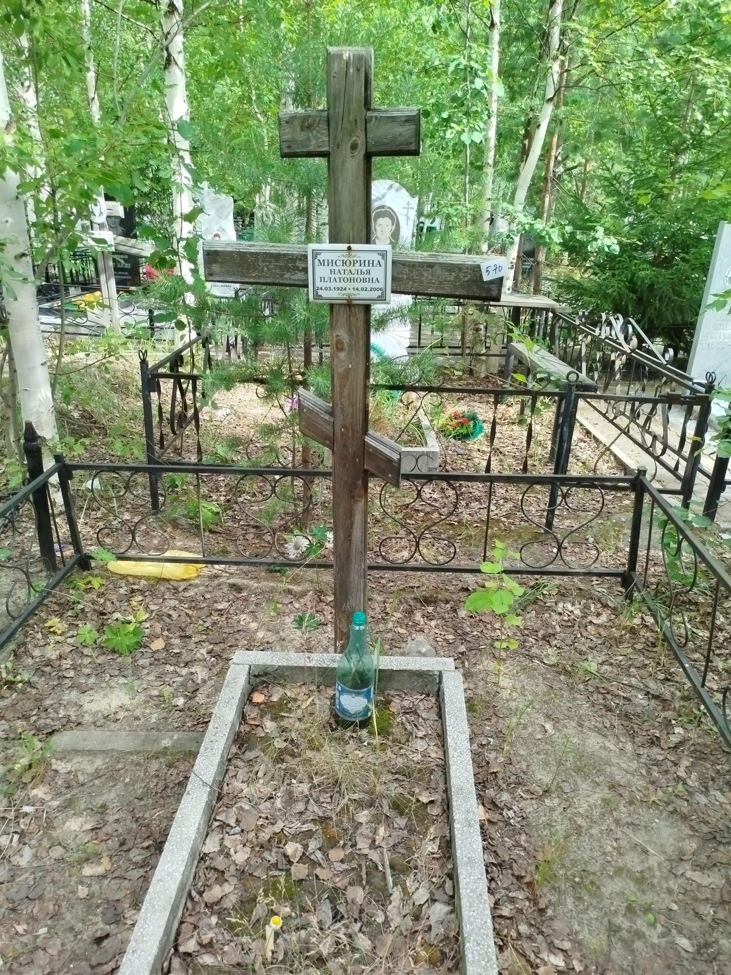 Мисюрина Наталья Платоновна
