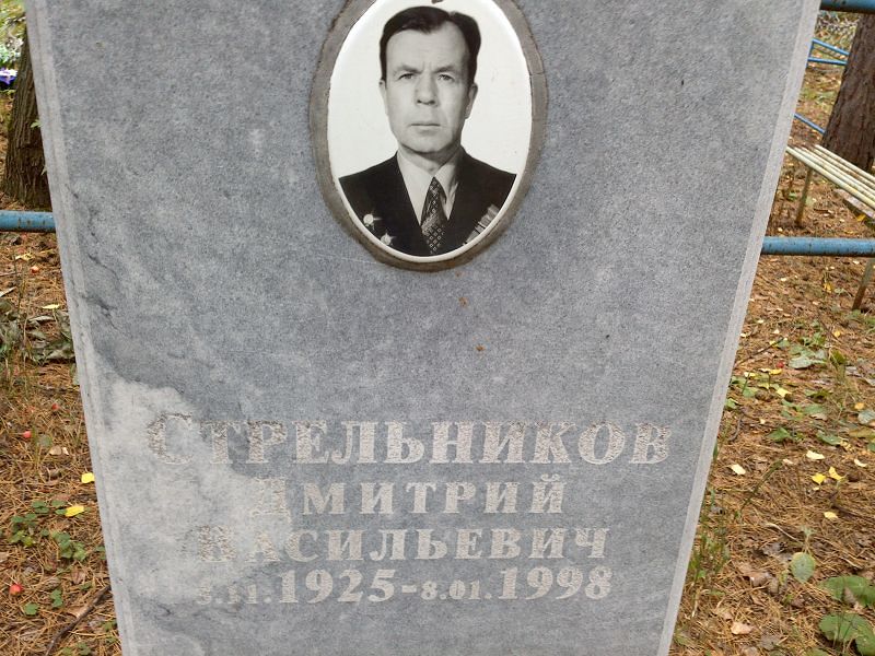 Стрельников