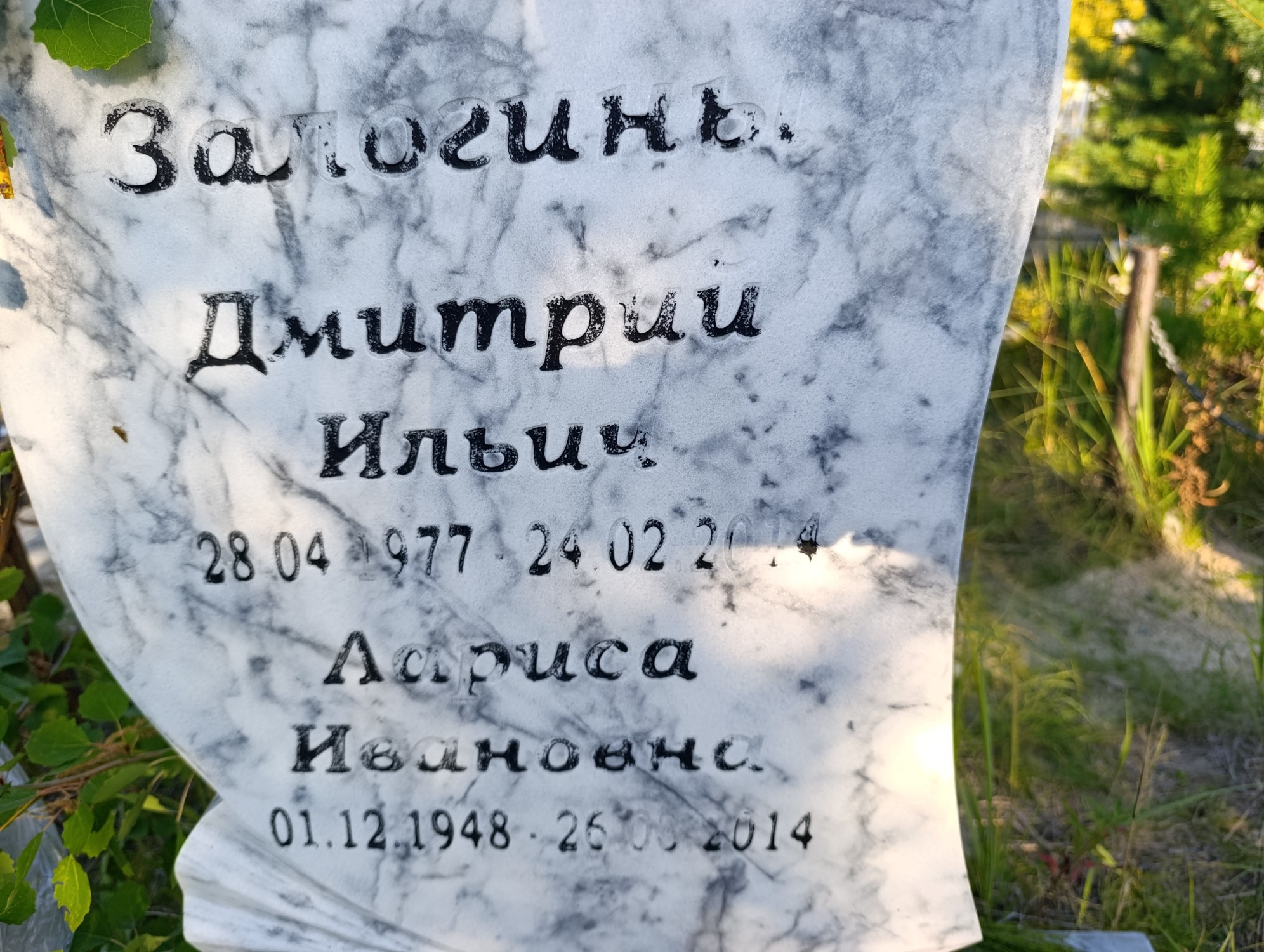 Залогин Дмитрий Ильич