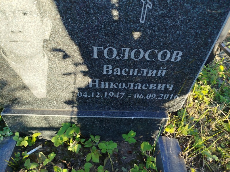 Голосов