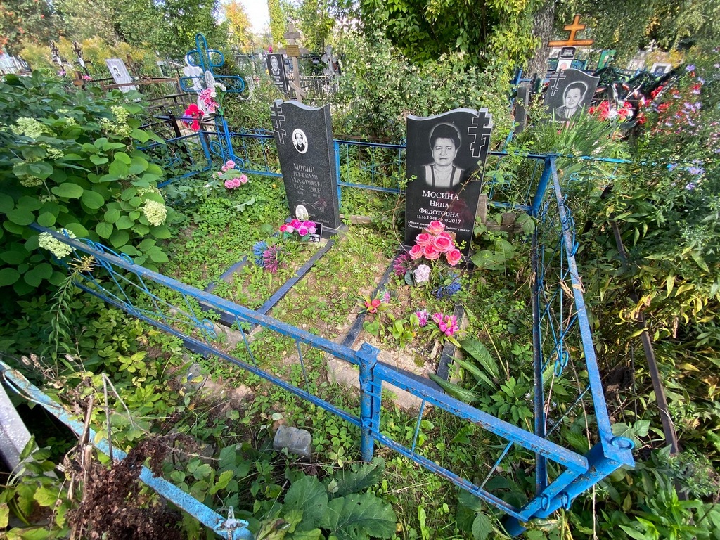 Мосин Вячеслав Михайлович