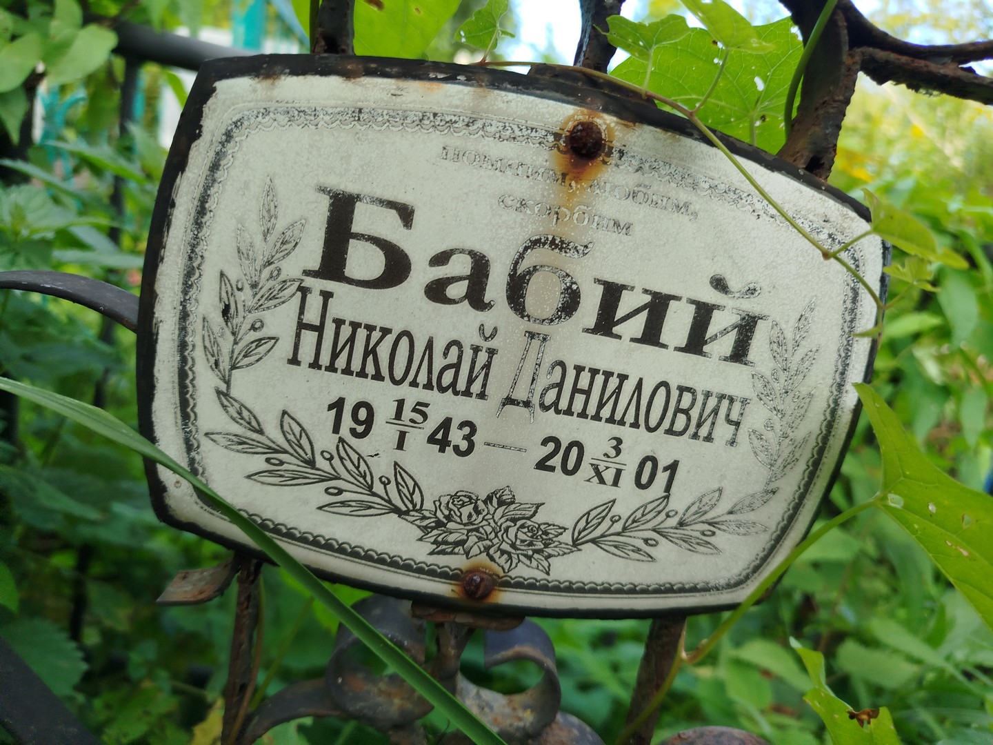 Бабий