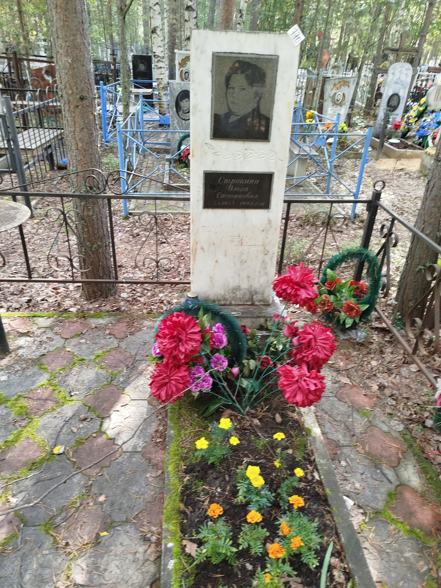 Строкина Ольга Степановна