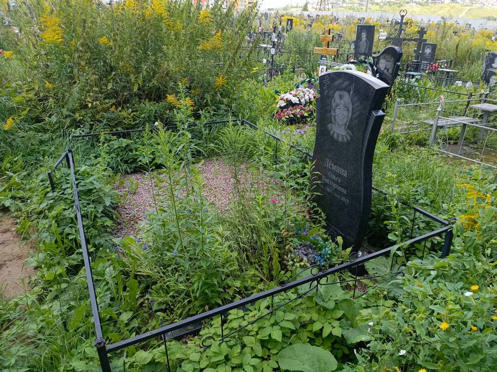 Демина Ольга Викторовна