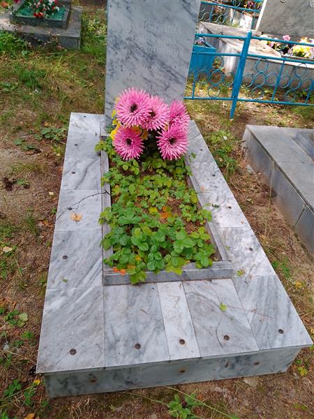 Насибулина Манифания Аглязетдиновна