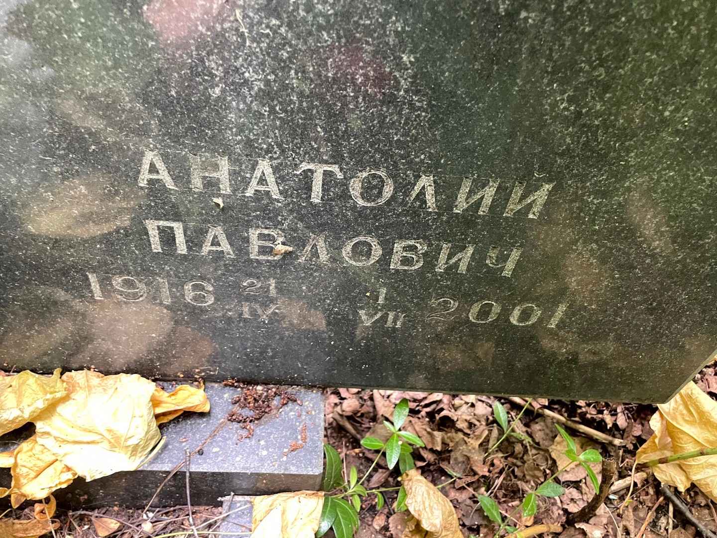 Козырев