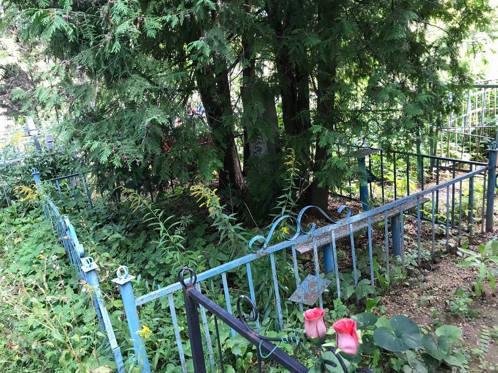 Соловьева Людмила Николаевна