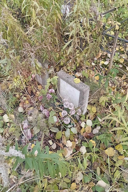 Павлов П. А.