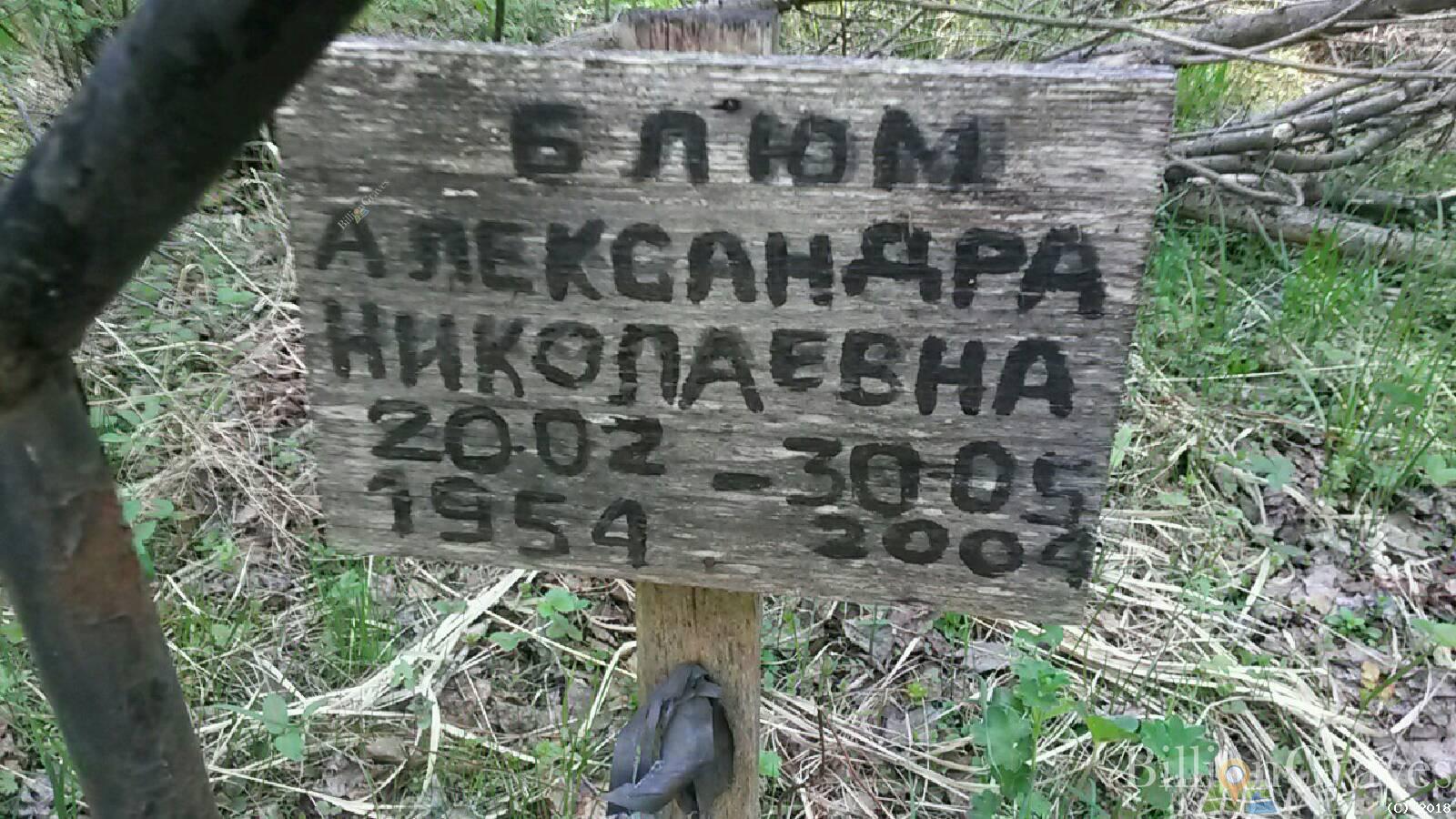 блюм александра николаевна