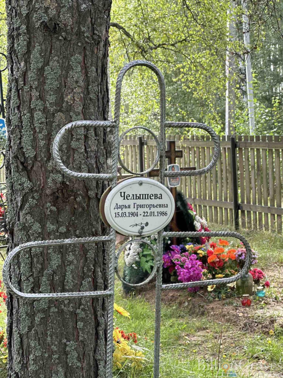 Челышева Дарья Григорьевна