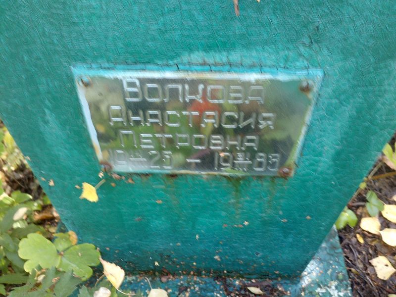 Волкова Анастасия Петровна