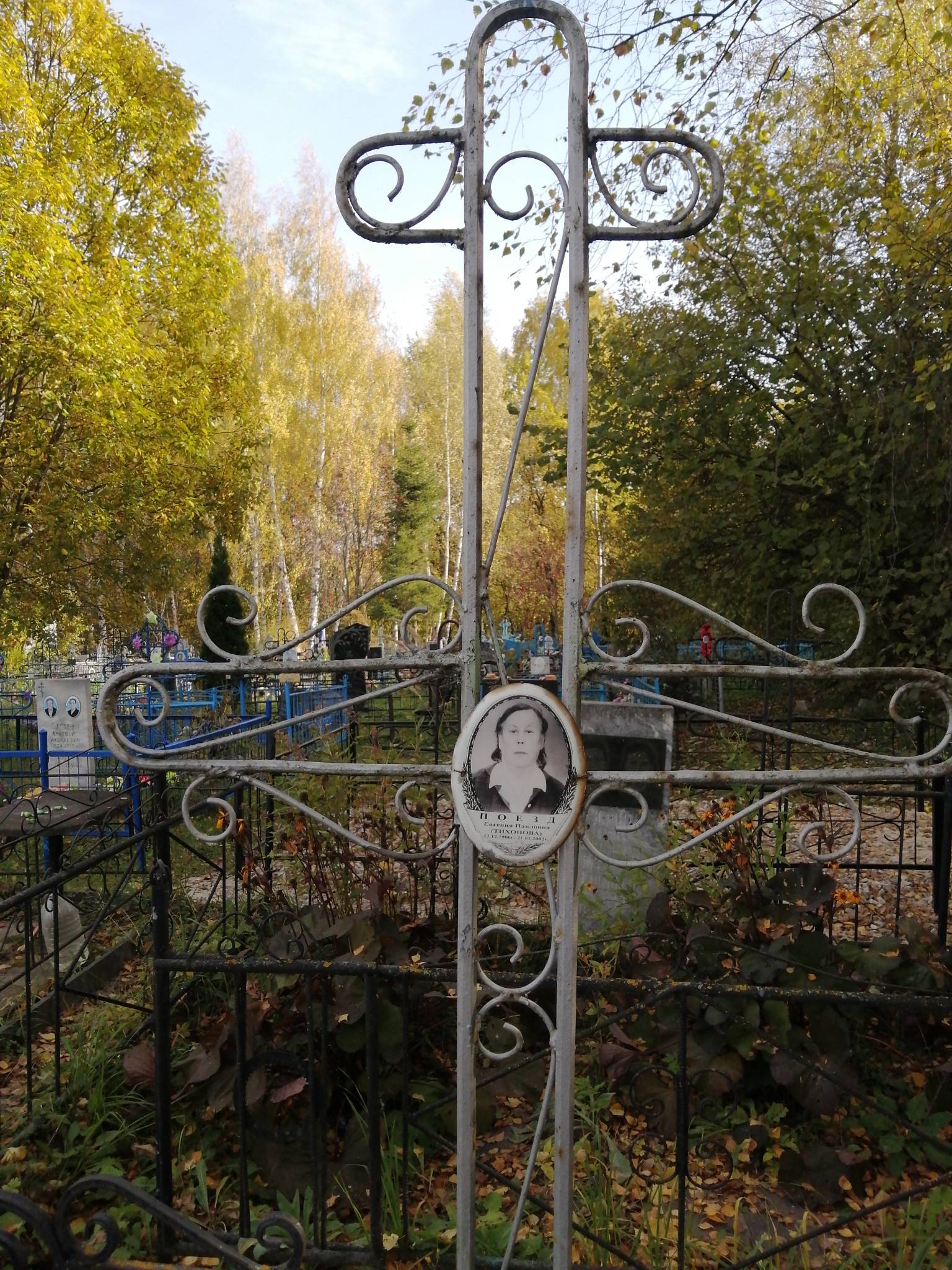 Поезд Елена Павловна