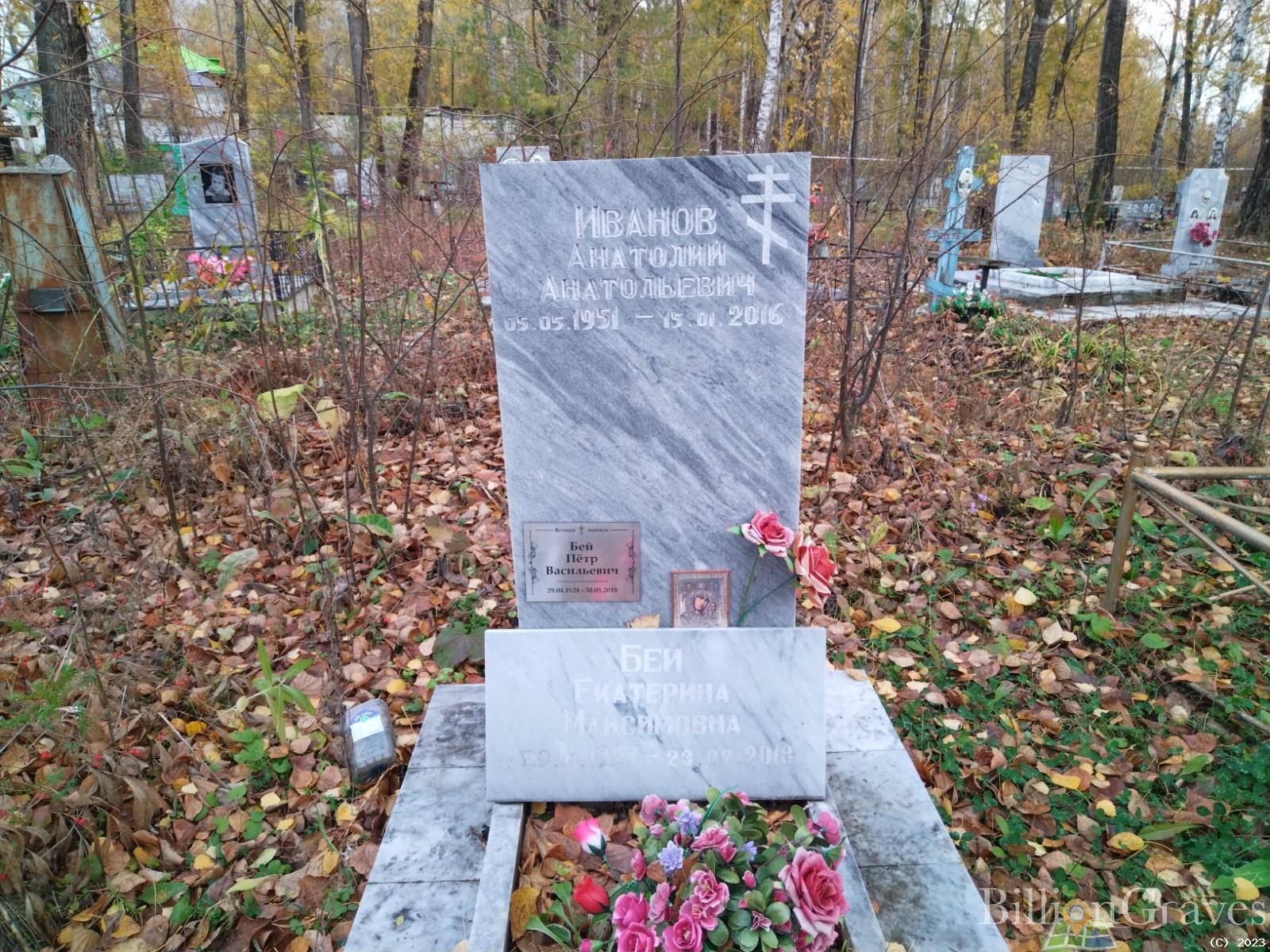 Бей Екатерина Максимовна