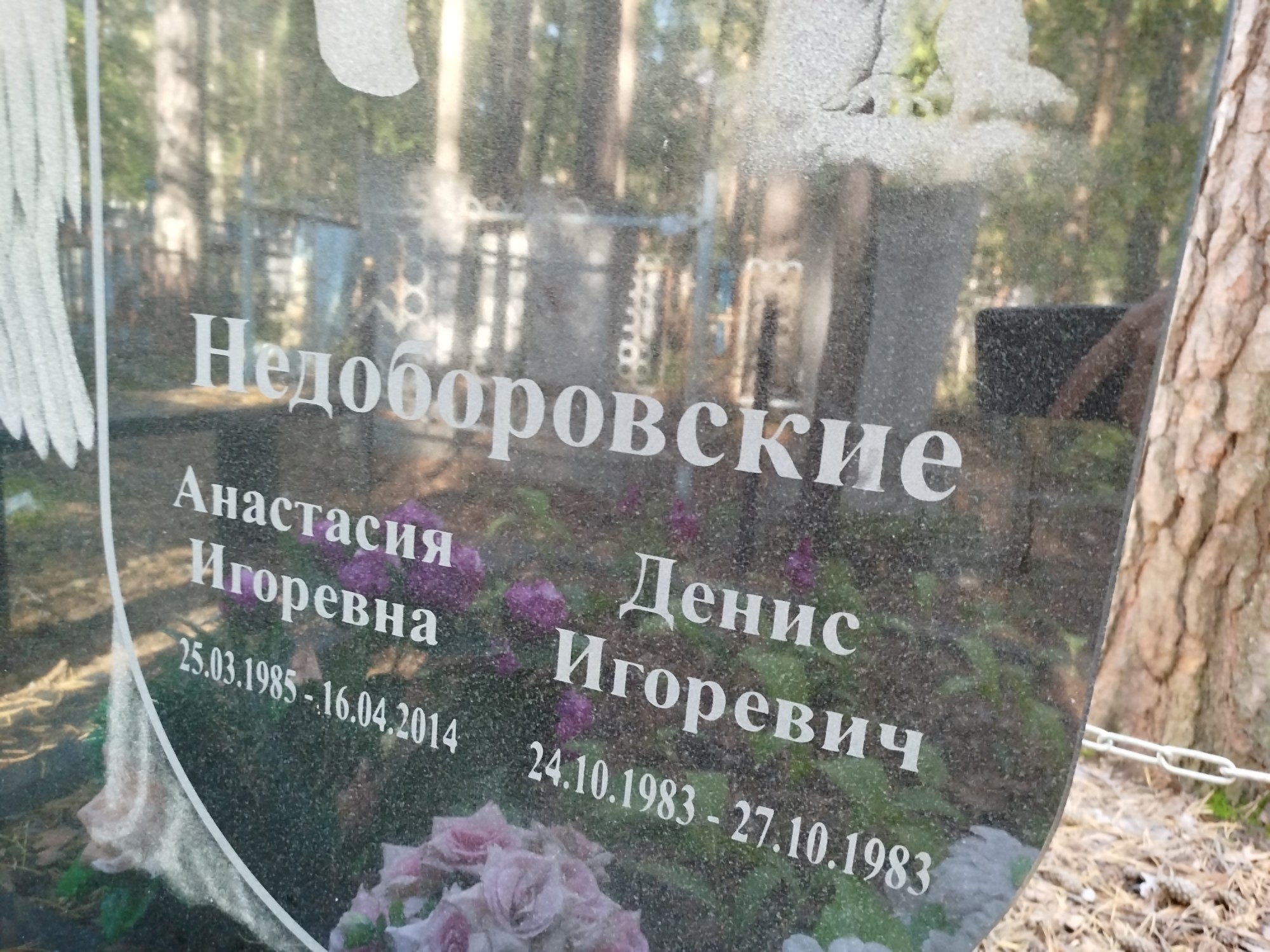 Недоборовский Денис Игоревич
