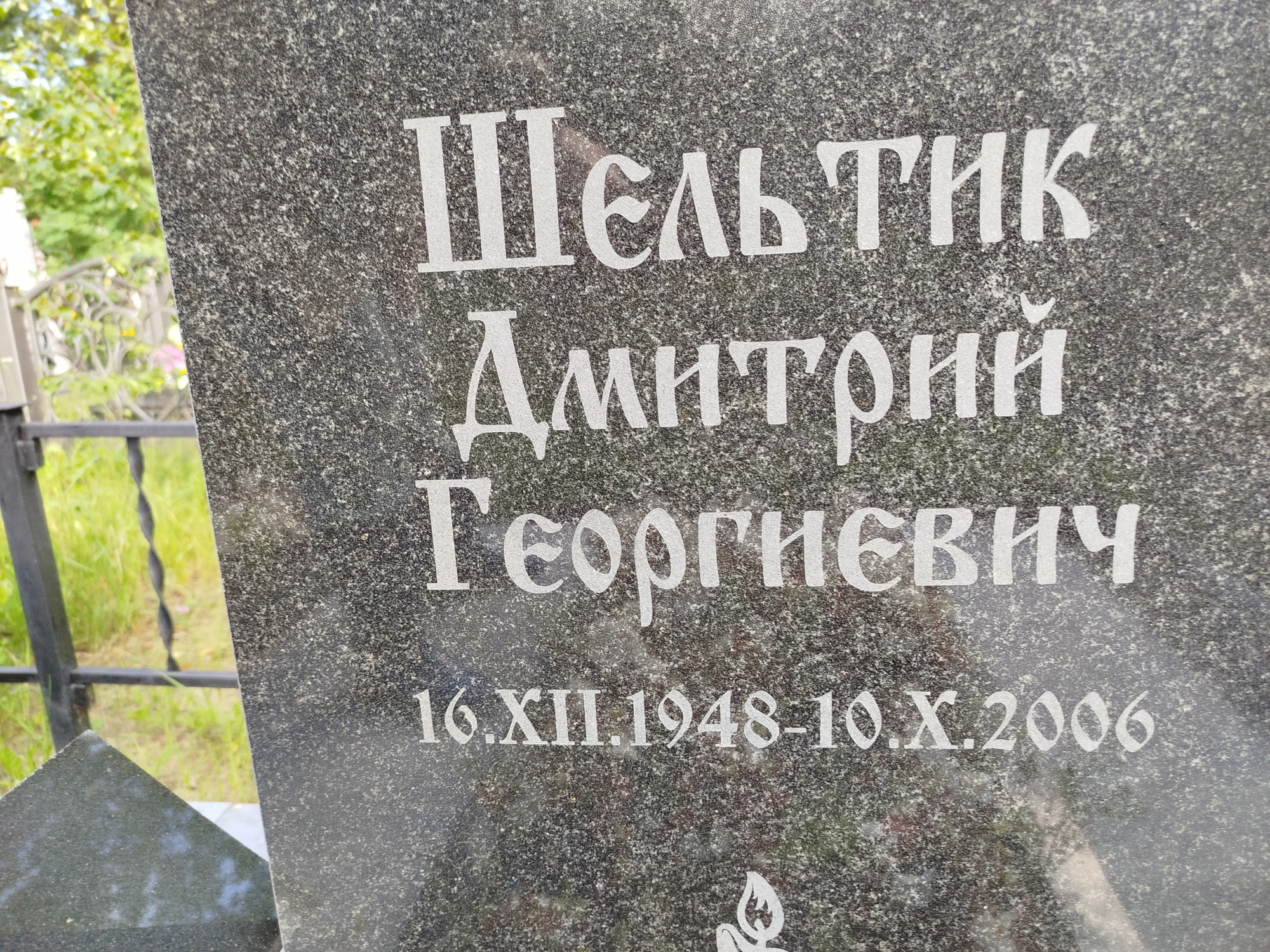 Шельтик Дмитрий Георгиевич