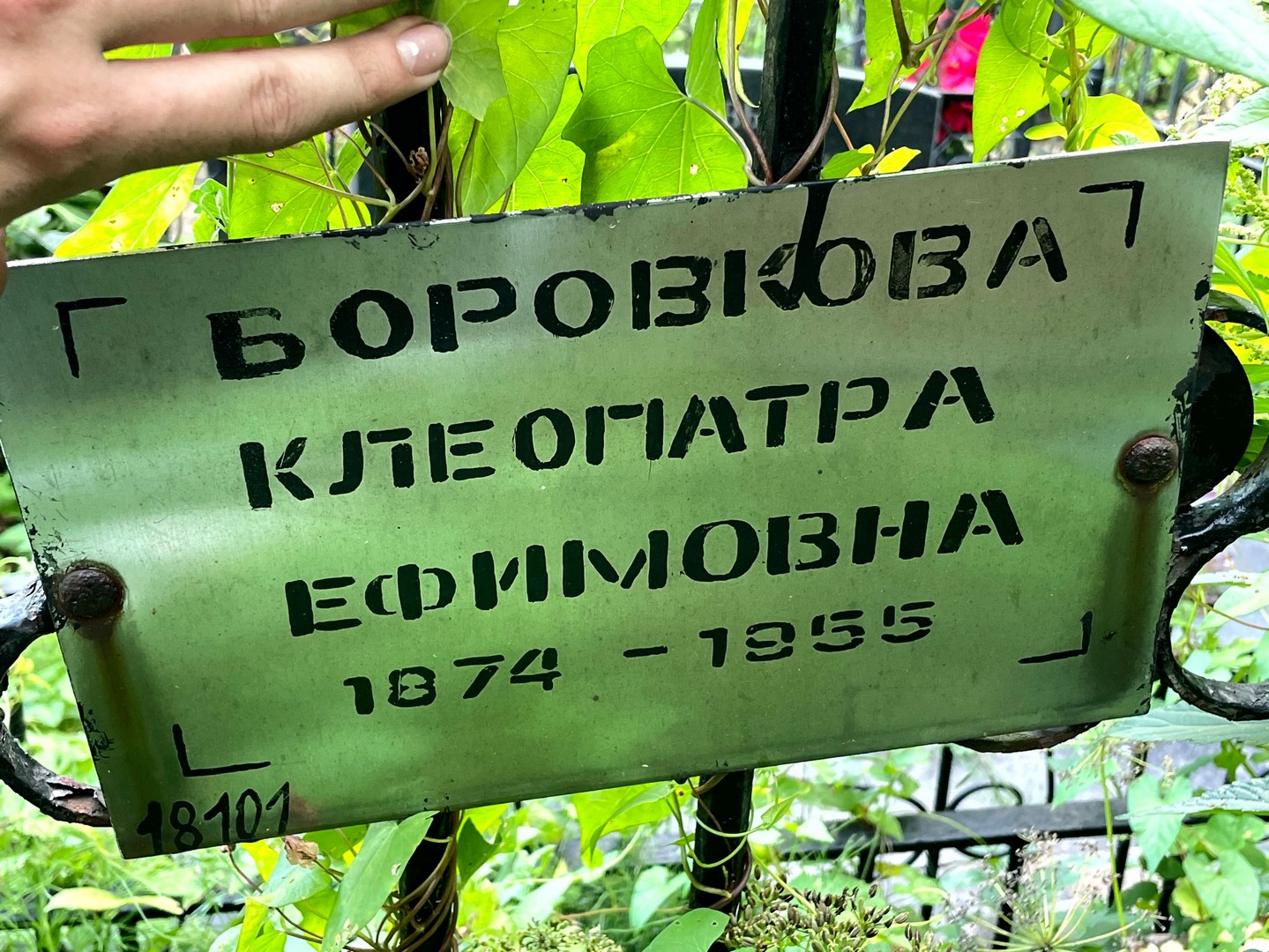 Клеопатра Боровкова Ефимовна