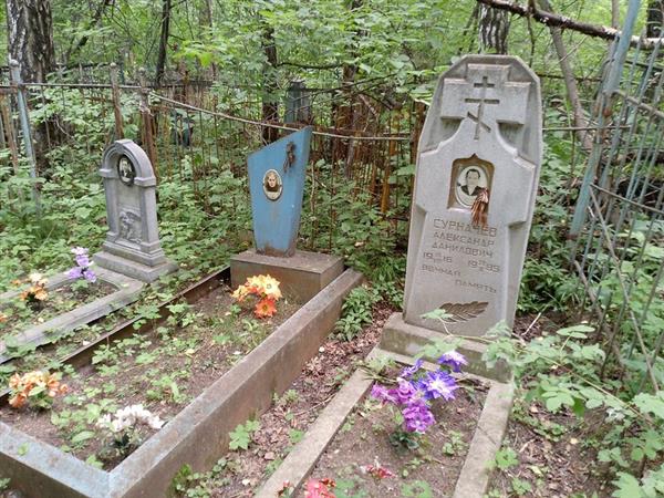 Сурначев Александр Данилович