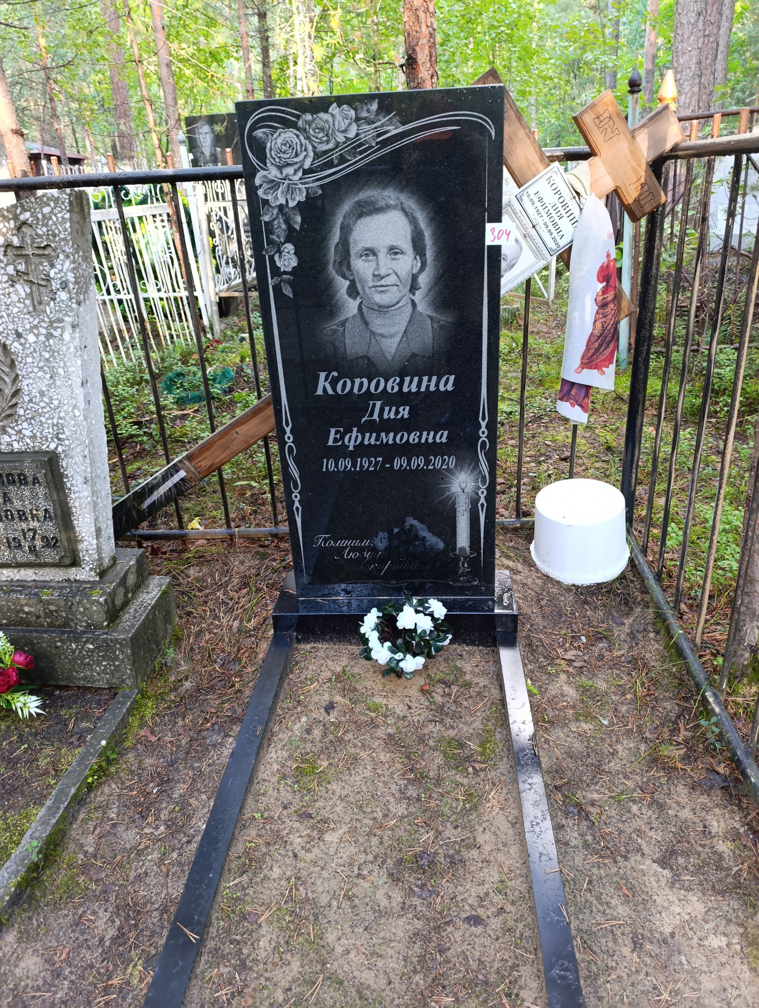 Коровина Дия Ефимовна