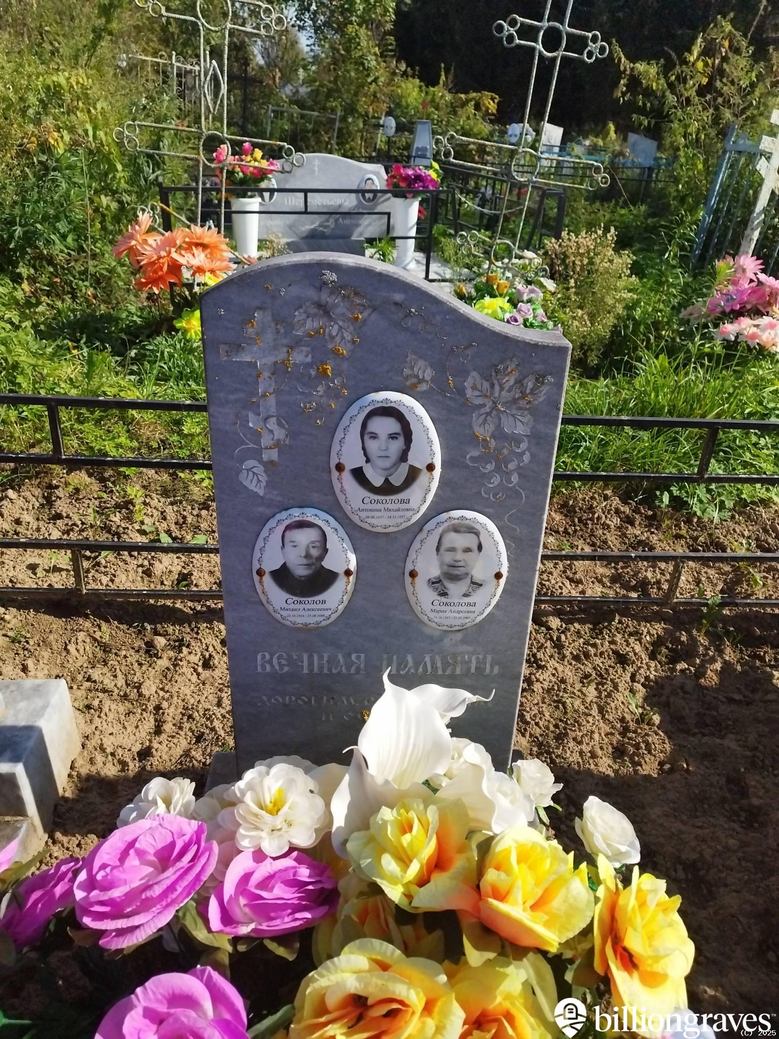 Соколова Антонина Михайловна