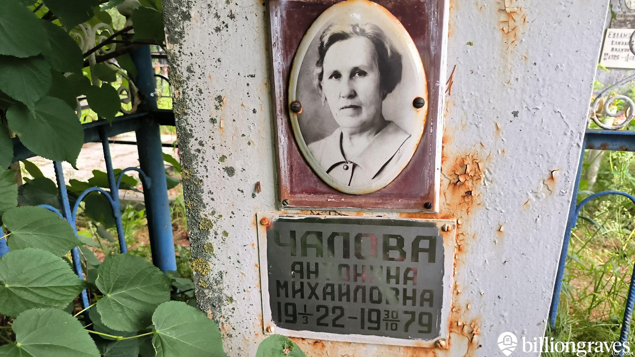 Чалова Антонина Михайловна