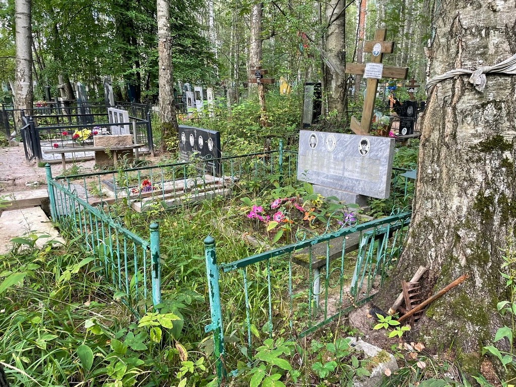 Логинова Елена Михайловна