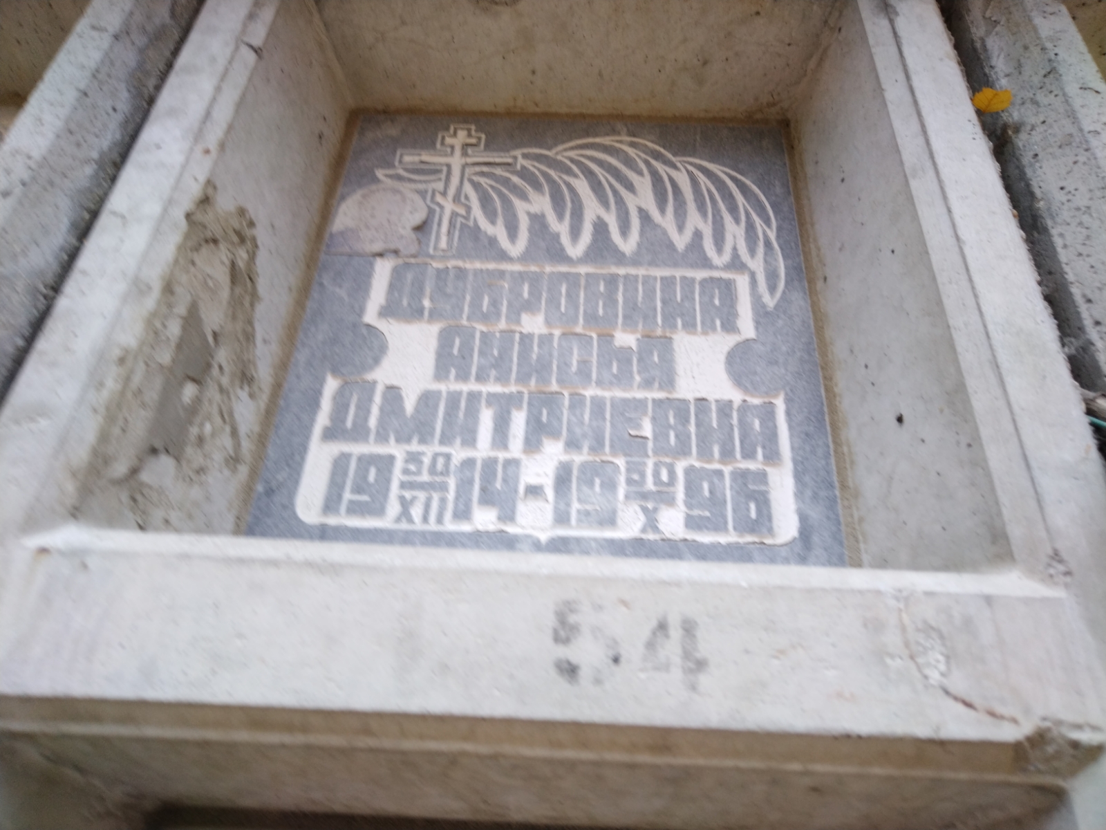Дубровина Анисья Дмитриевна