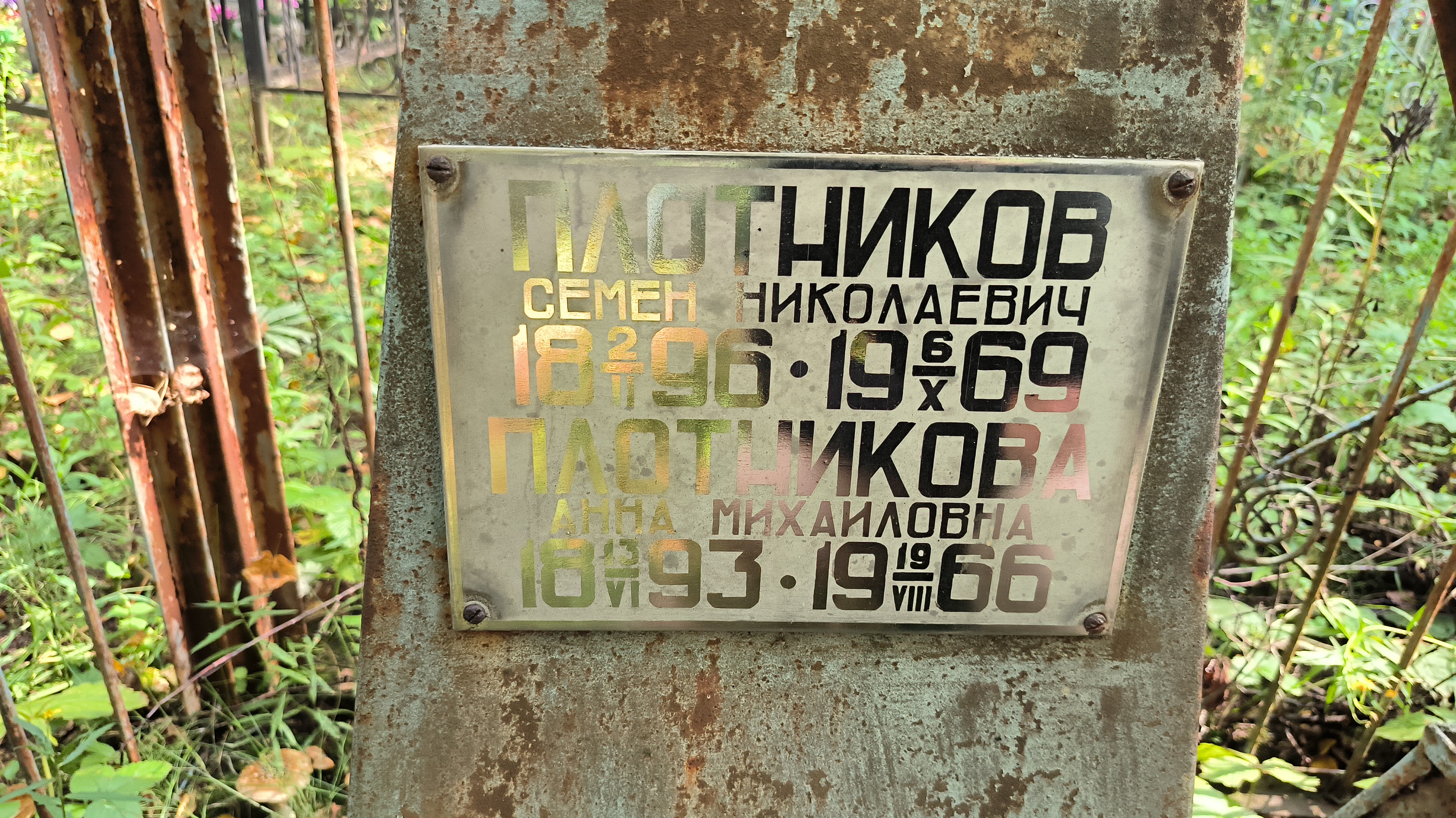Плотникова Анна Михайловна