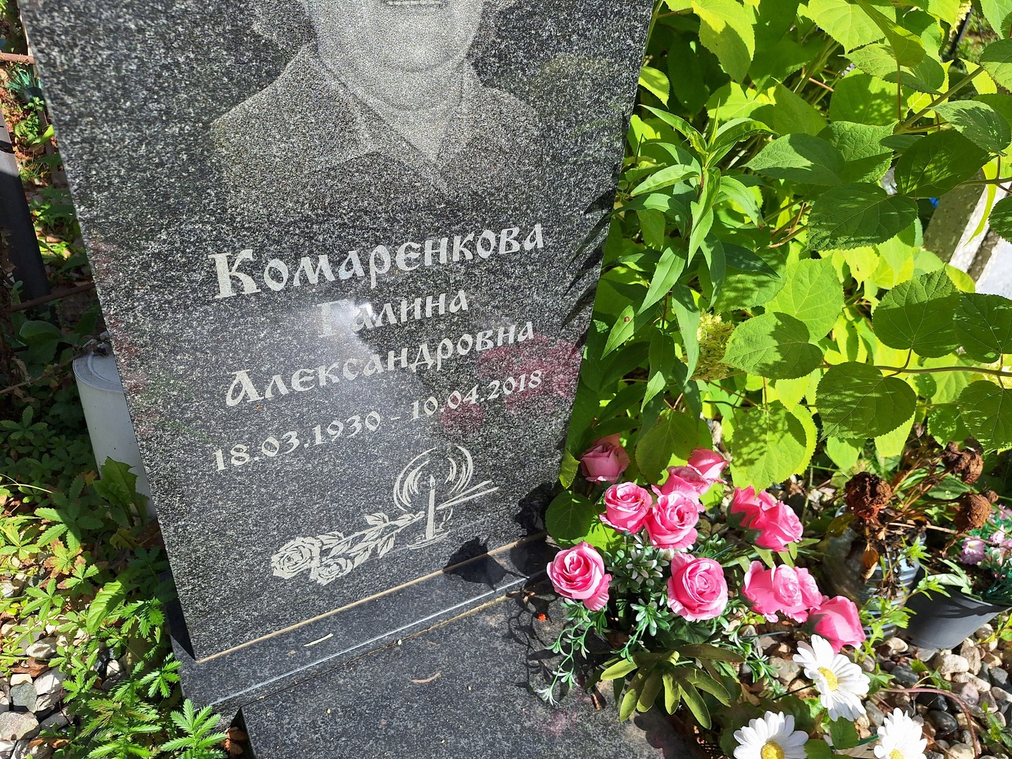 Комаренкова