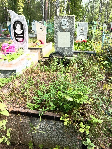 Варляев Николай Иванович