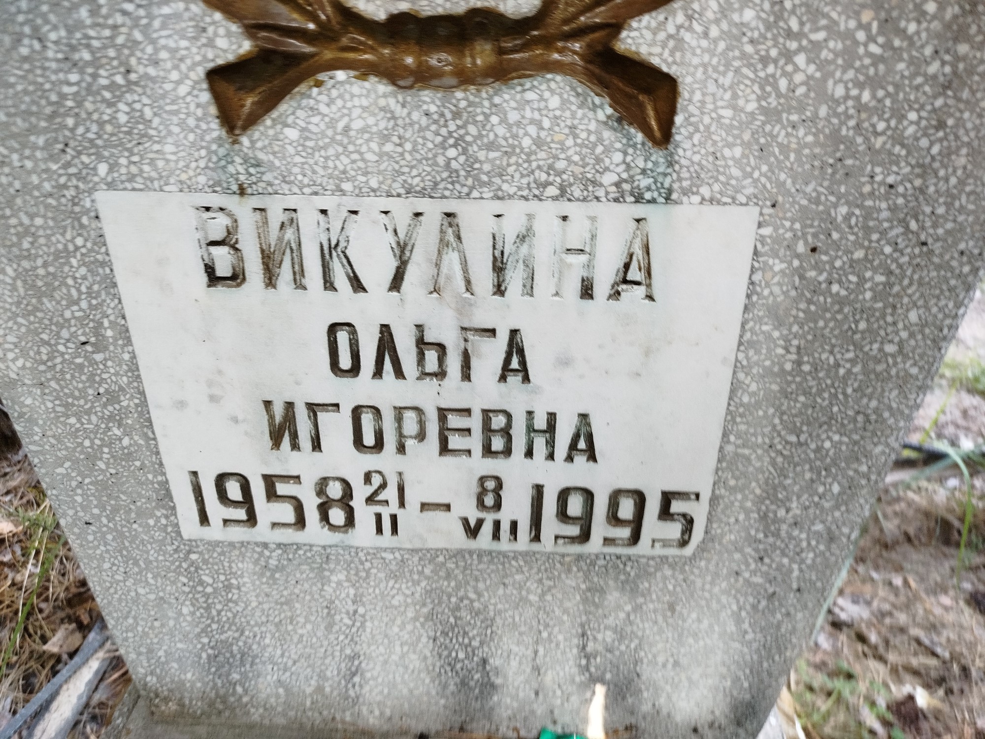 Викулина Ольга Игоревна