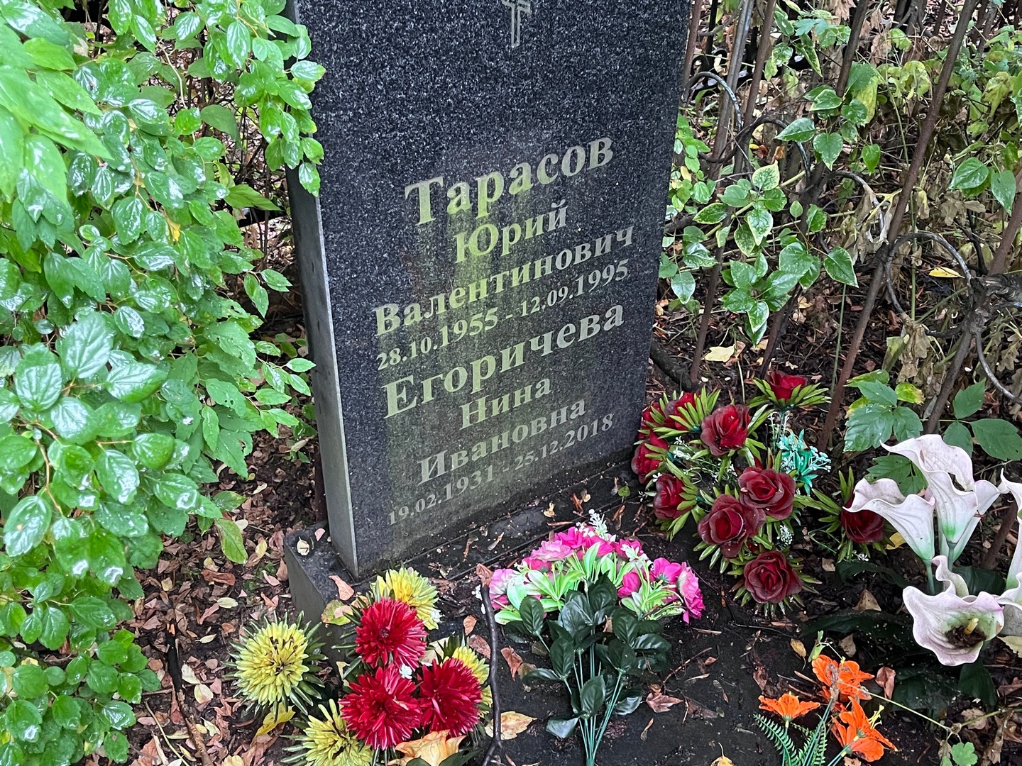 Егоричева