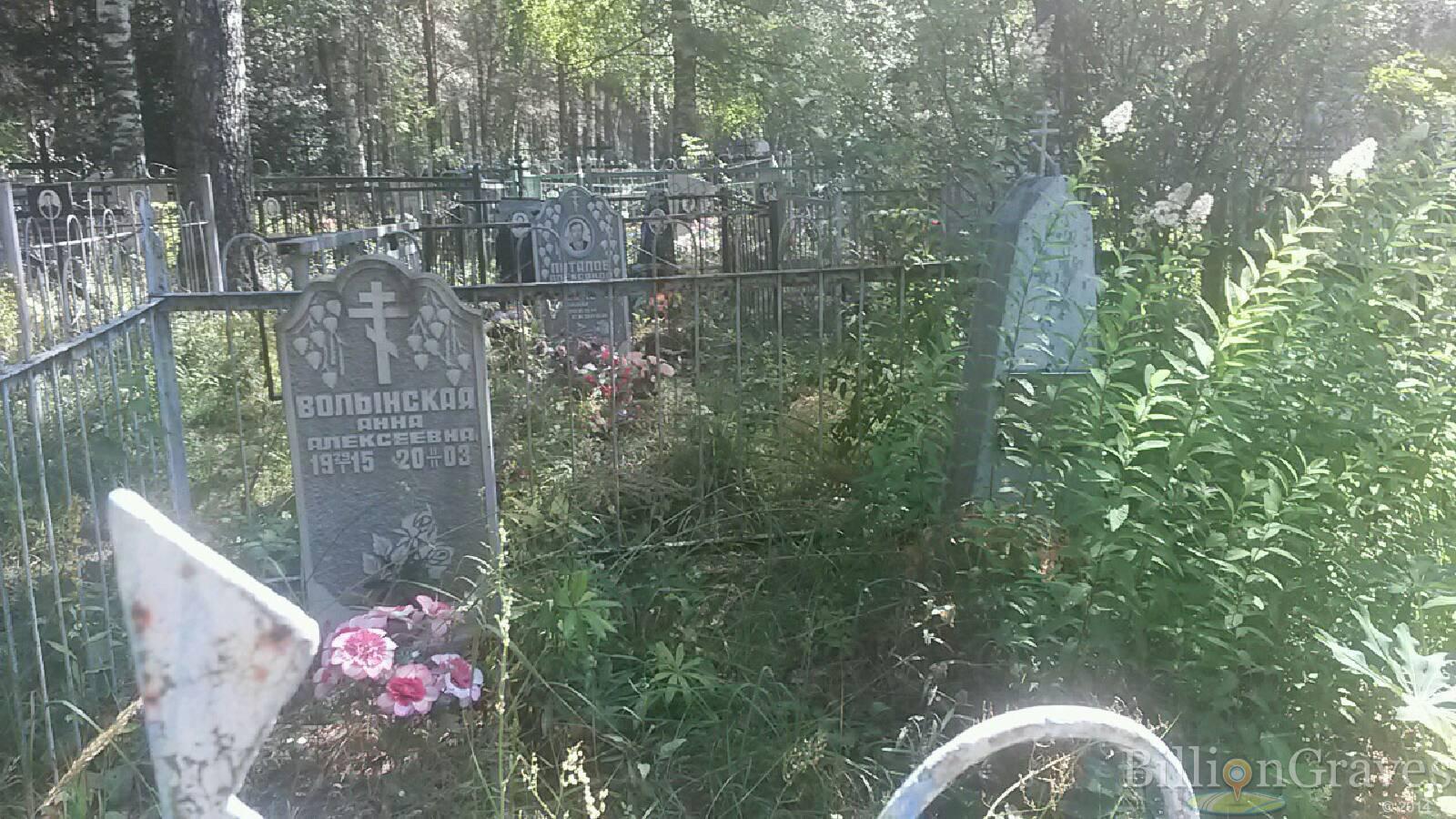 Волынская Анна Алексеевна