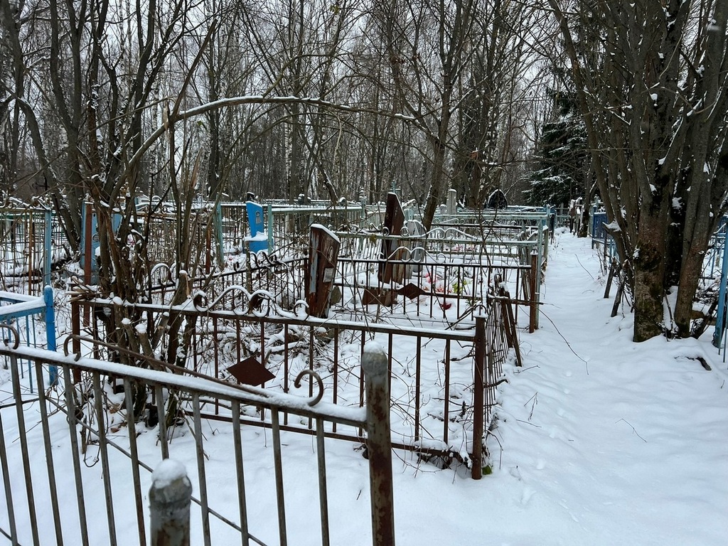 Федотова Екатерина Андреевна