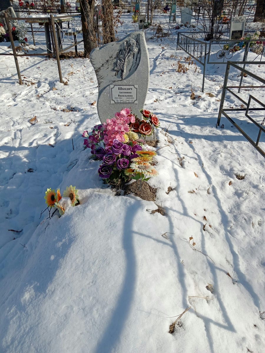 Шкодич Антонина Васильевна