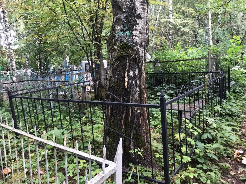 Корнеев Терентий Михайлович